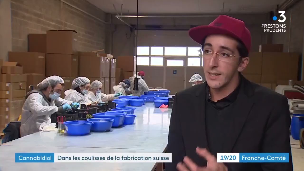 France 3  dans les coulisses de la Phytocann producteur de CBD