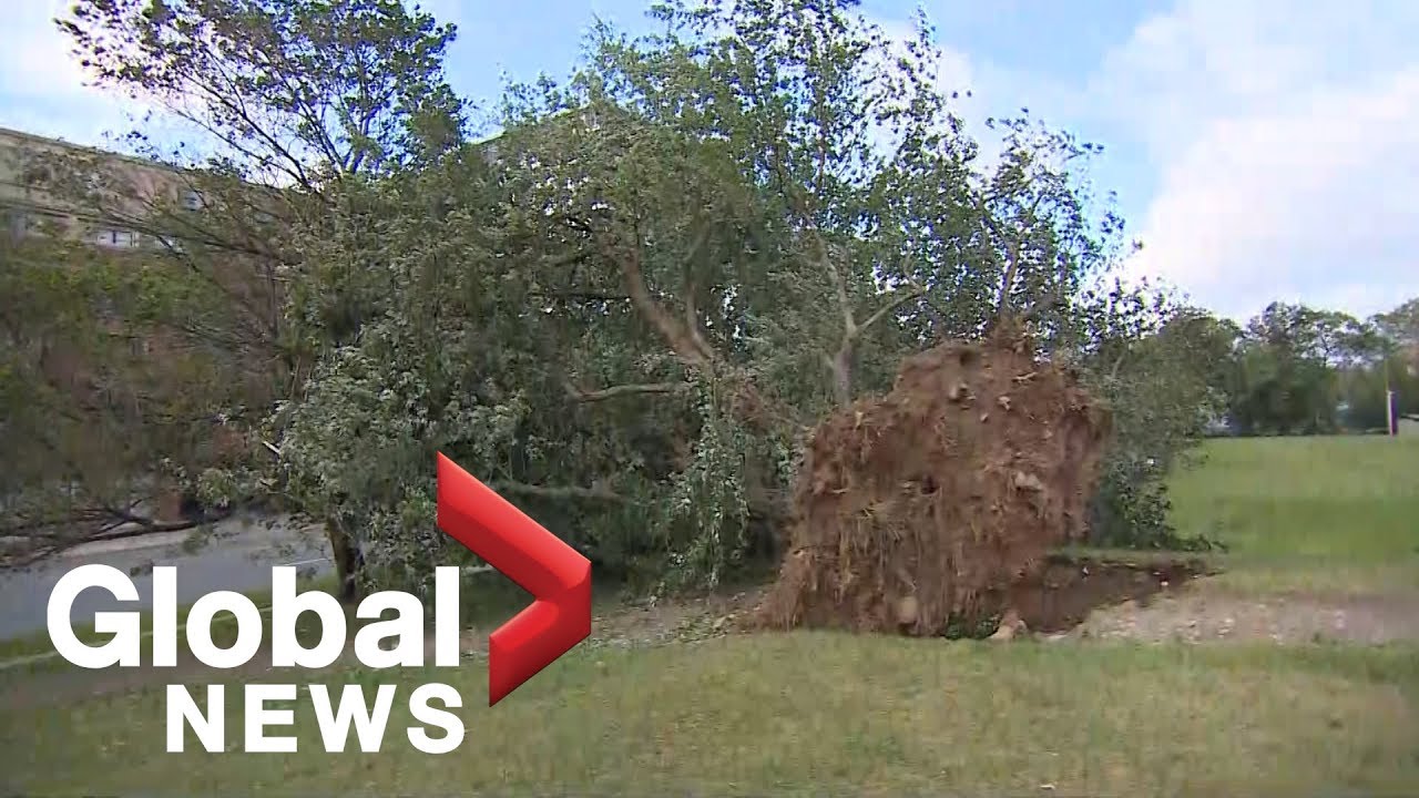 Hurricane Dorian: Atlantic Canada recovers day after storm covers most of region