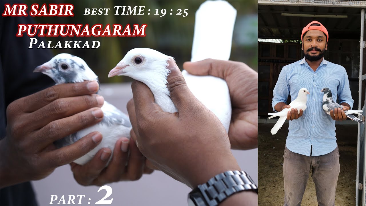 MR sabir puthunagaram | part 2 | loft vist | kutty parava