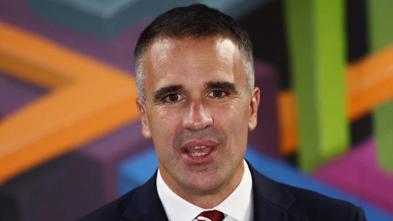 Pauline Hanson slams Peter Malinauskas’ One Nation comments