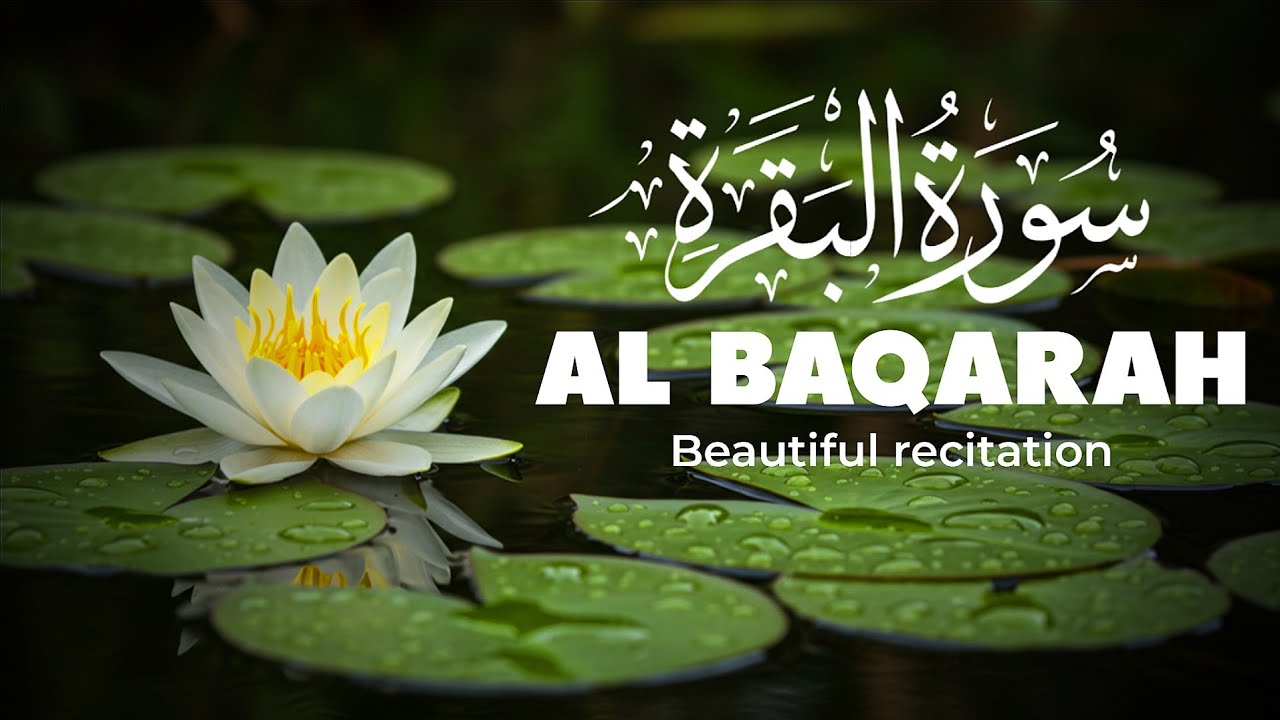 Surah Baqarah That Brings Blessings to Your Home | Full HD Quran Recitation, By Sheikh Mishary Afasy