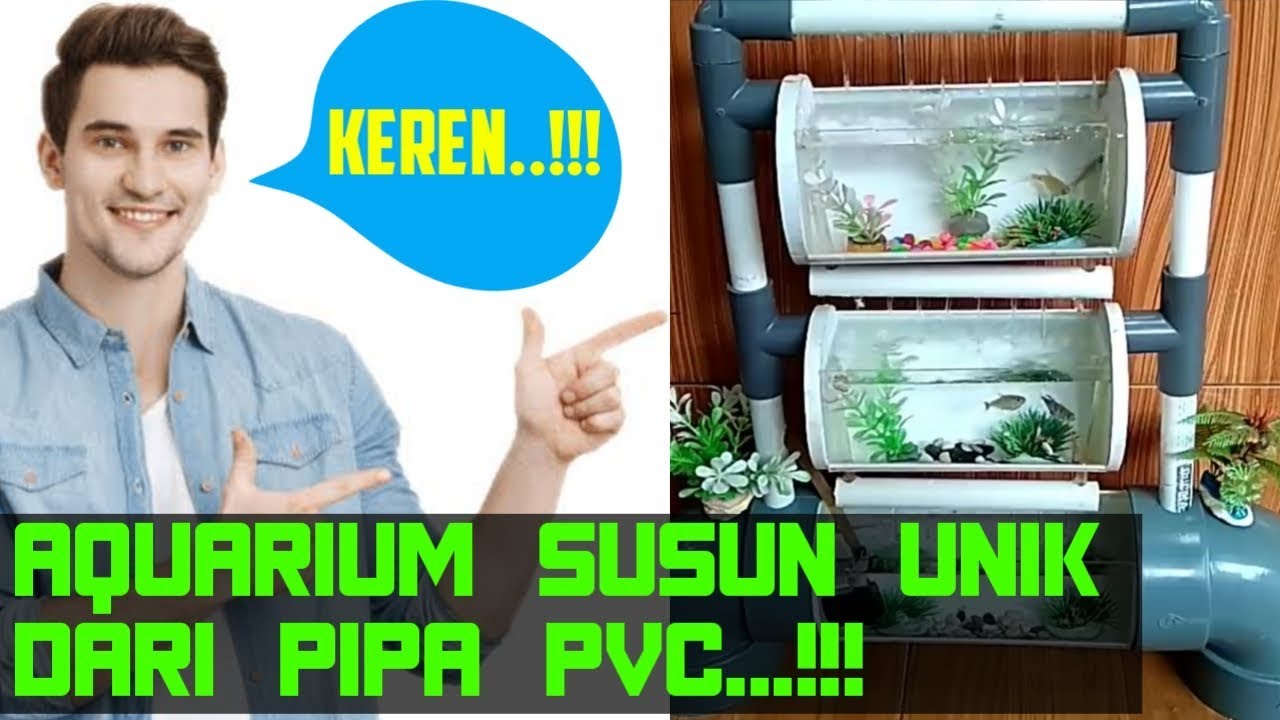 Cara membuat aquarium susun unik untuk ikan cupang dari pipa pvc