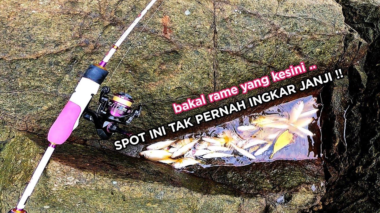 BAKAL RAME ‼️ MANCING DASARAN DI SPOT PINGGIRAN LAUT SINI