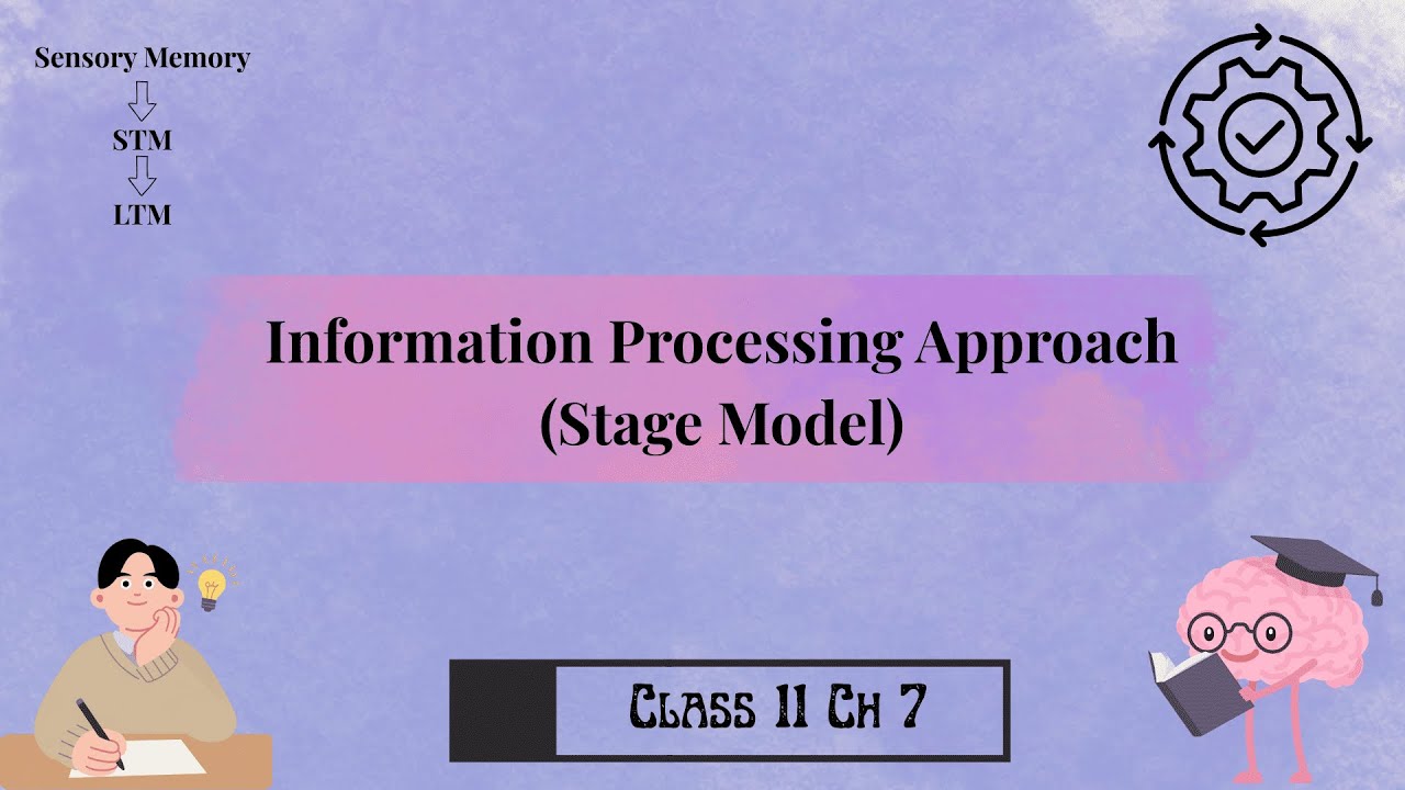 Information Processing Approach (Stage Model) of Memory | Class 11 Psychology Ch 7