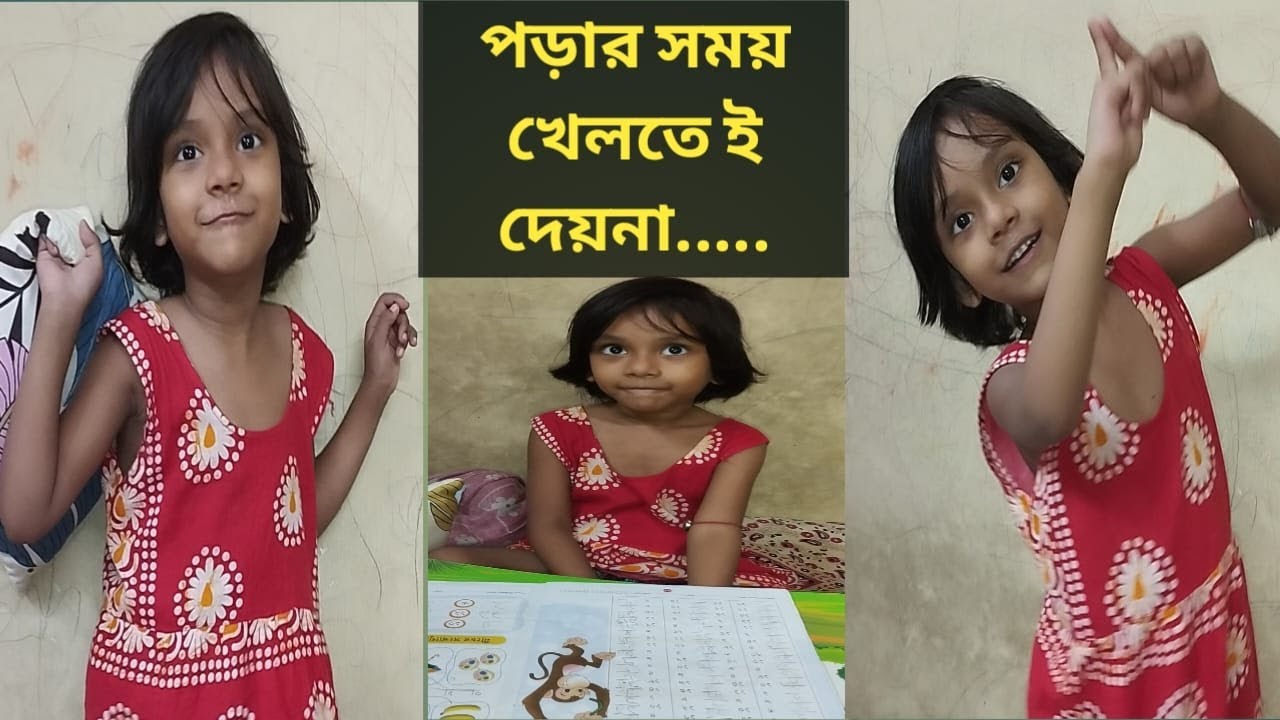 সাজির খেলতে খেলতে পড়াশুনো // বাংলা 2025 @sajirjanyo 