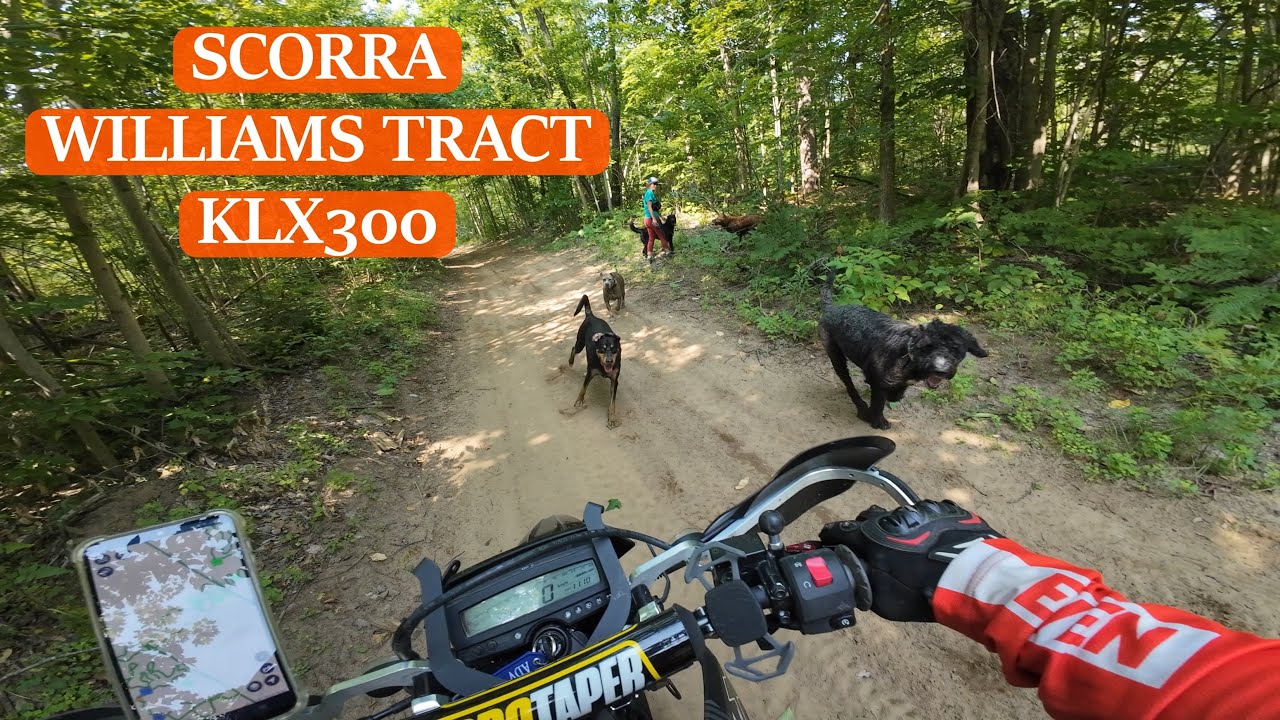 OFTR | SCORRA - Williams Tract on Kawasaki KLX300