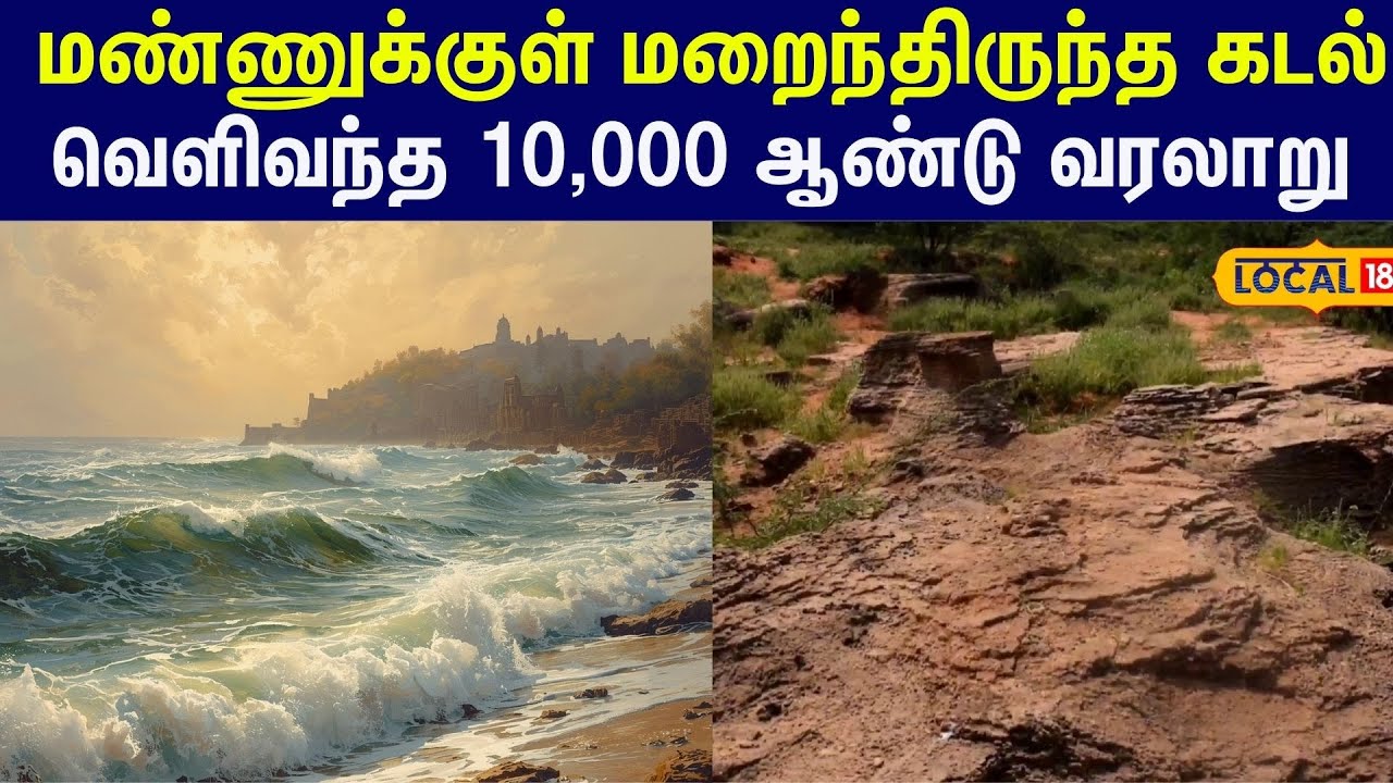 மண்ணுக்குள் மறைந்திருந்த கடல்... படிமங்களால் வெளிவந்த 10,000 ஆண்டு வரலாறு #local18