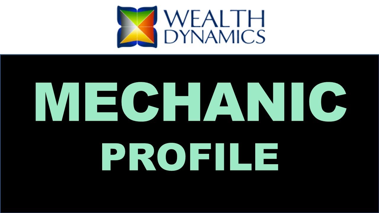 🪙 Wealth Dynamics - 𝙈𝙀𝘾𝙃𝘼𝙉𝙄𝘾 Profile explained