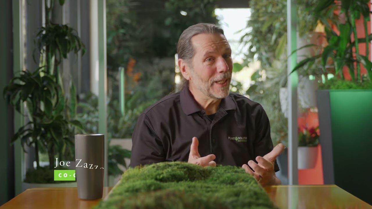 Providing Wellness In The Workplace | Plant Solutions Short  ft. Joe Zazzera