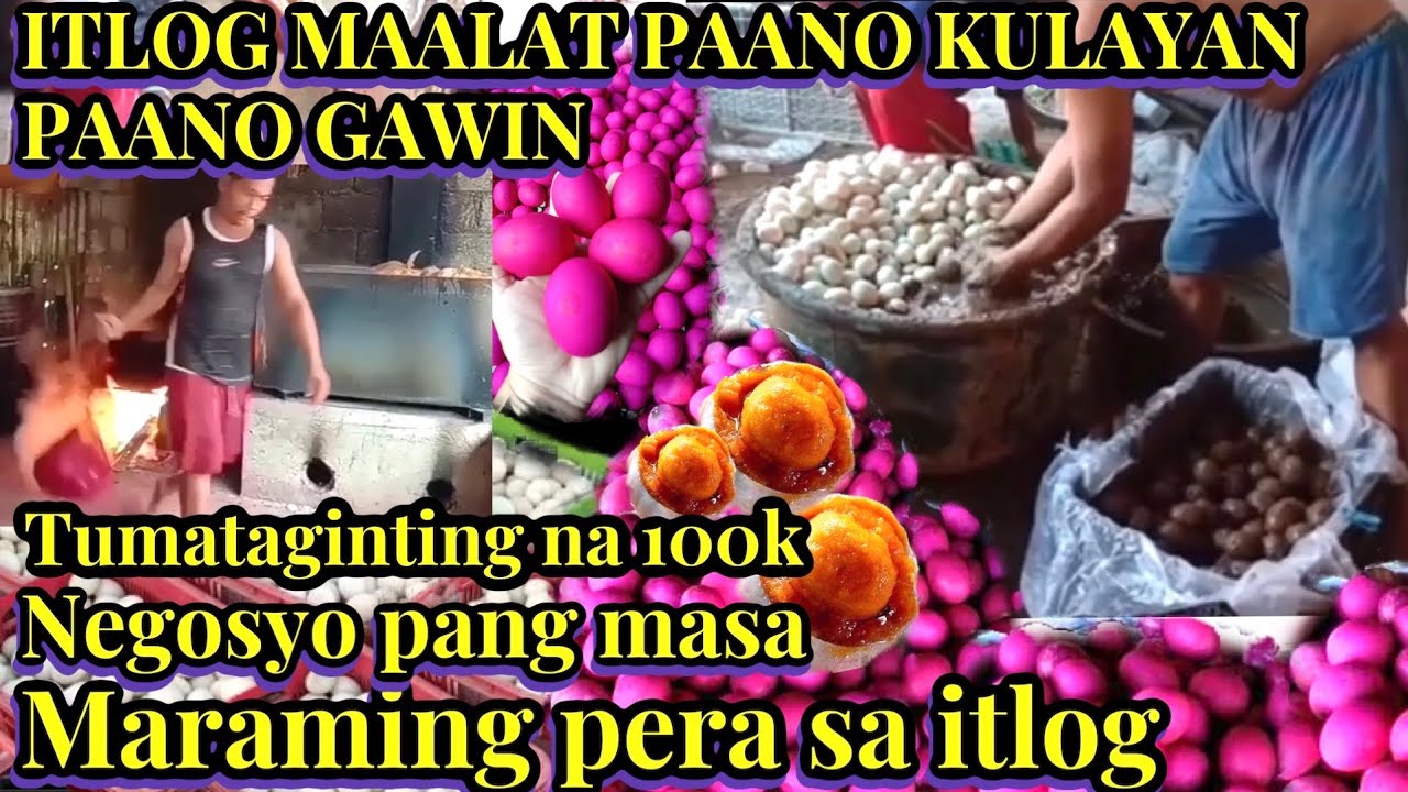 Itlog maalat paano kulayan at paano gawin || negosyo pang masa || salted egg