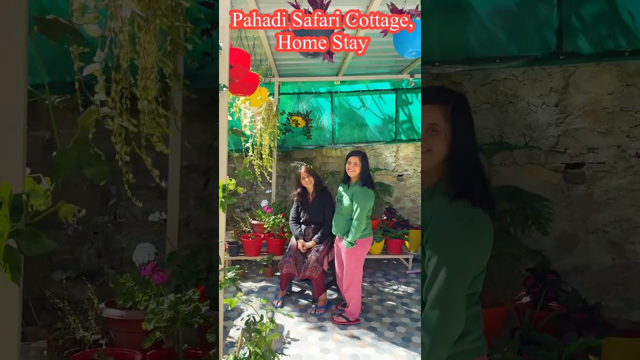 Pahadi Safari Cottage,Darima Mukteshwar Nainital #pahadisafaricottage #viral