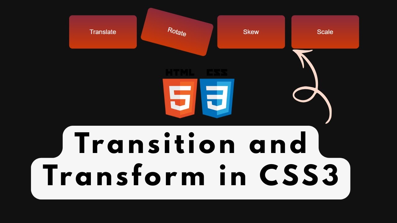 🔥 CSS Transform Effects &mdash; Translate, Rotate, Skew & Scale!