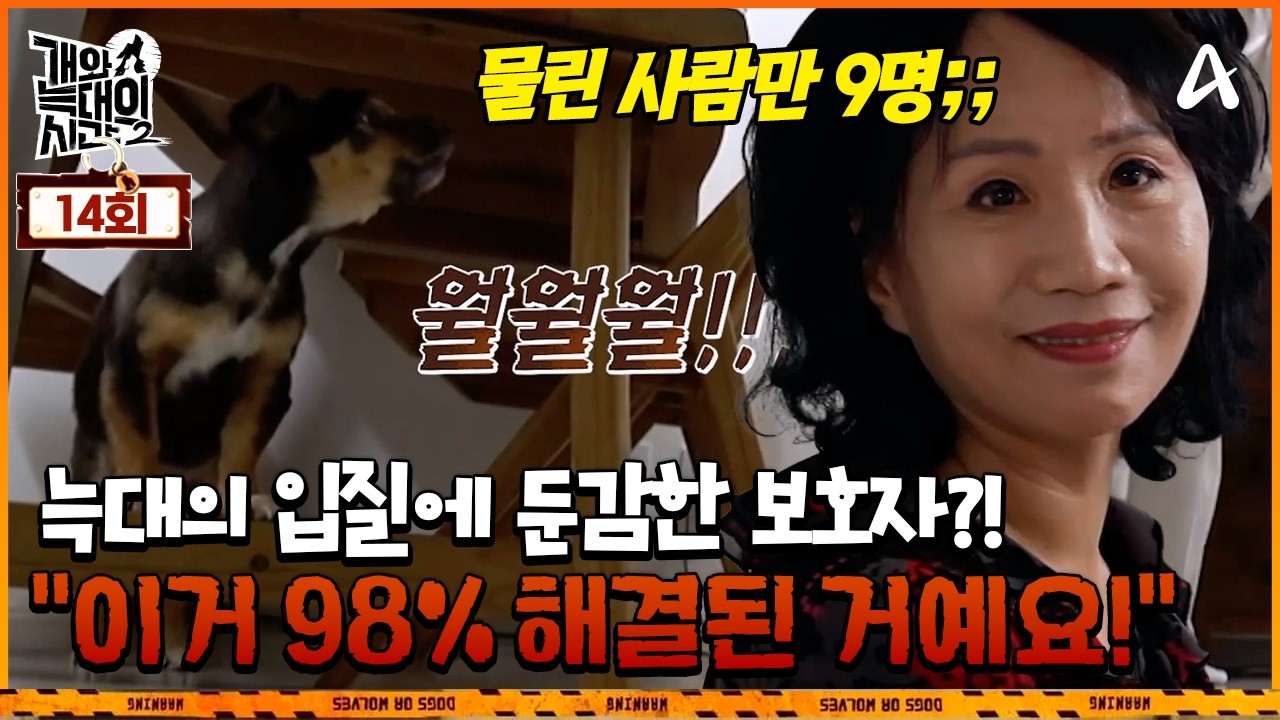 [예능] 개와 늑대의 시간2 14회_260415_불화 유발자들: 알파피메일의 통제법
