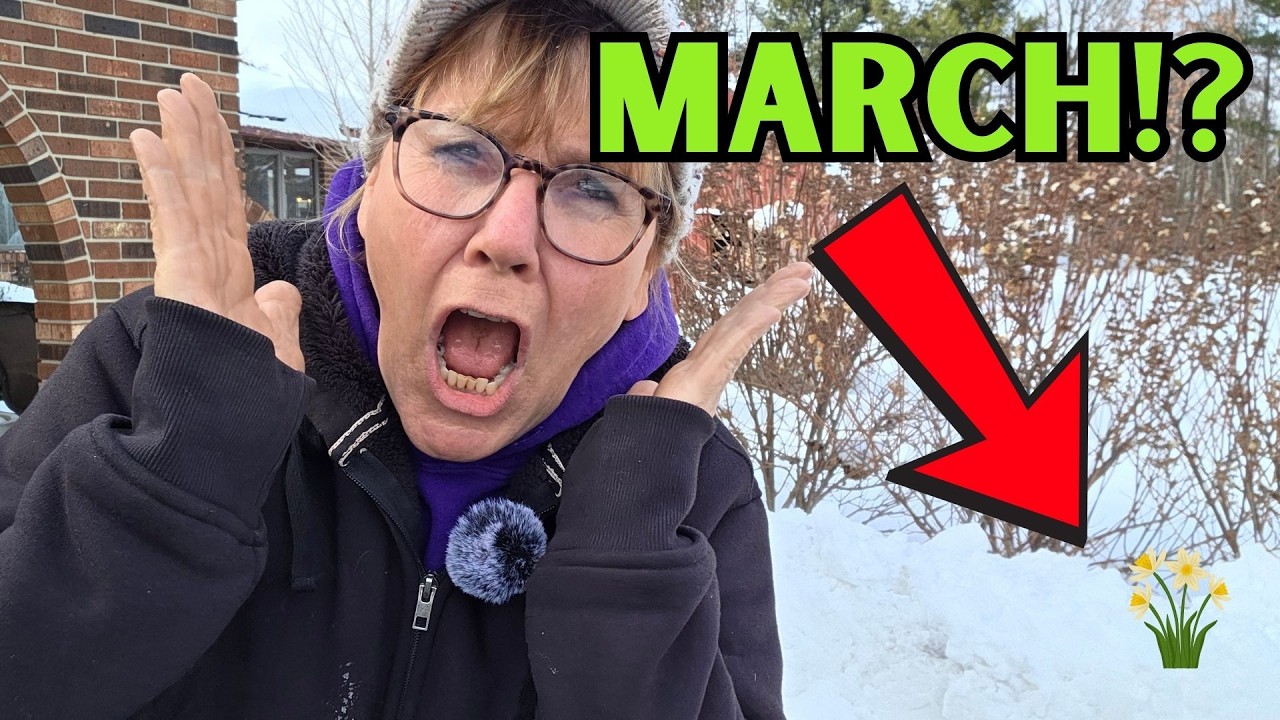 8 дюймов снега в середине марта?! Что это значит для вашего сада (зона 5)