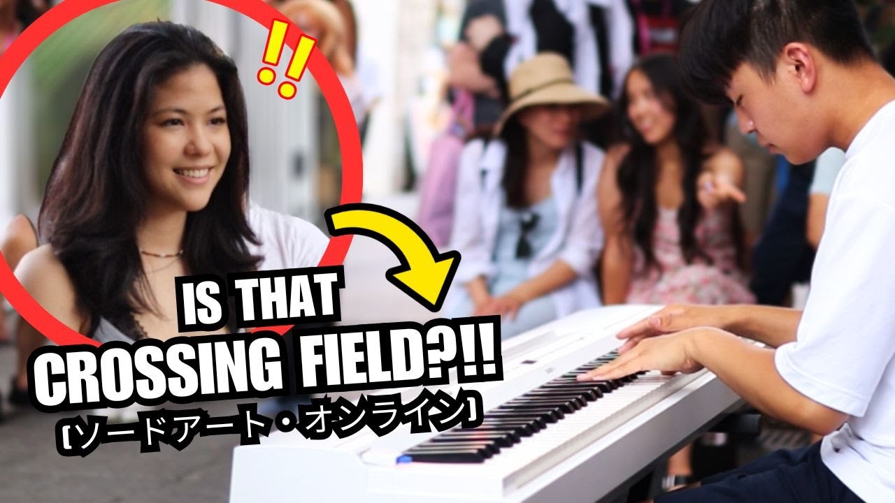 I Play SWORD ART ONLINE Piano Medley in Public [Crossing Field, Adamas, Swordland, etc]