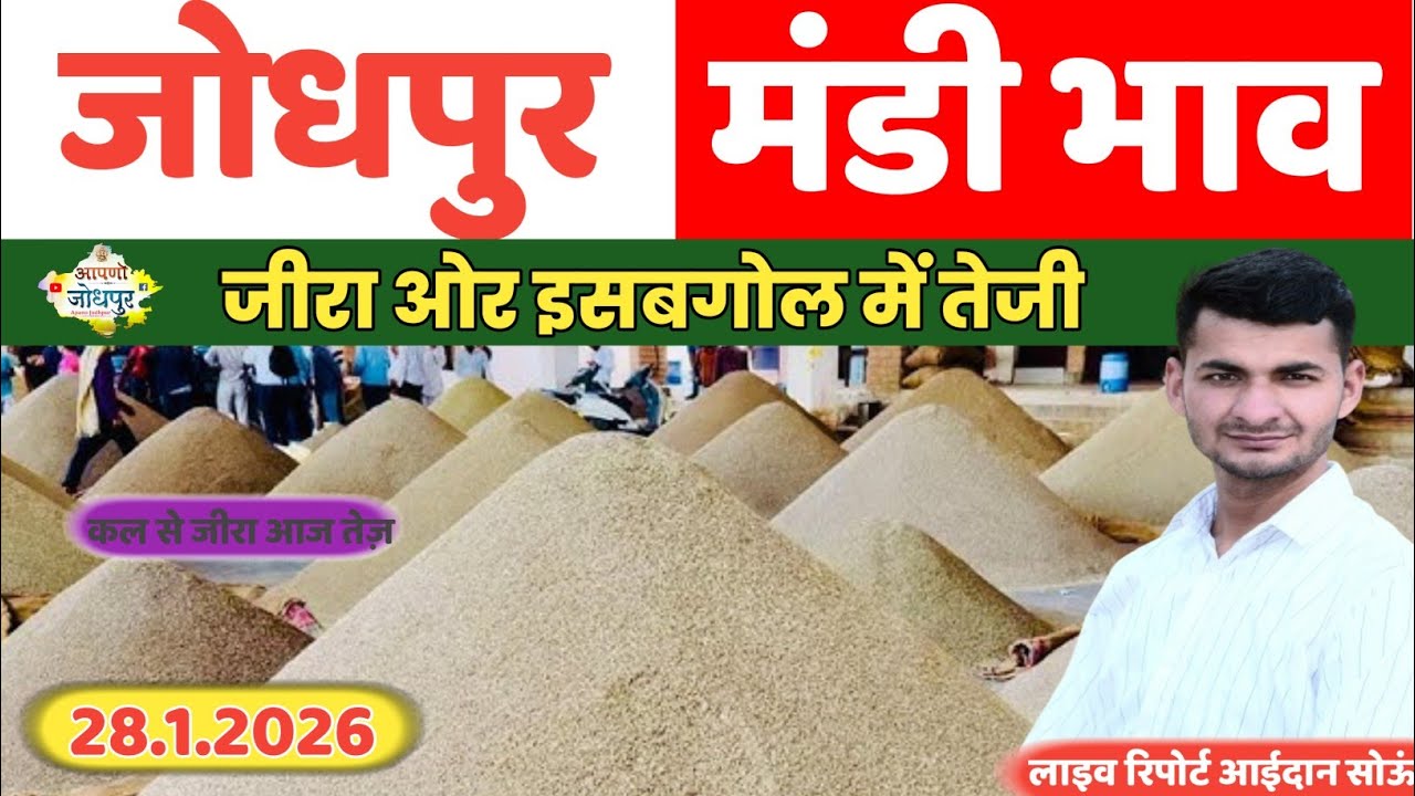 आज की लाइव 28.1.2026 जोधपुर जीरा और  सोंफ मंडी लाइव बोली Jodhpur jeera mandi Gour bhav report 