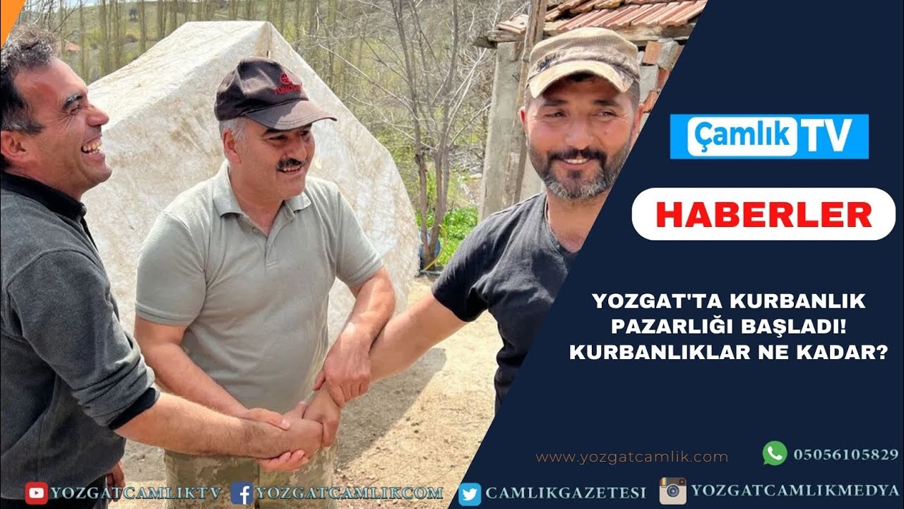 YOZGAT'TA KURBANLIK PAZARLIĞI BAŞLADI! KURBANLIKLAR NE KADAR?
