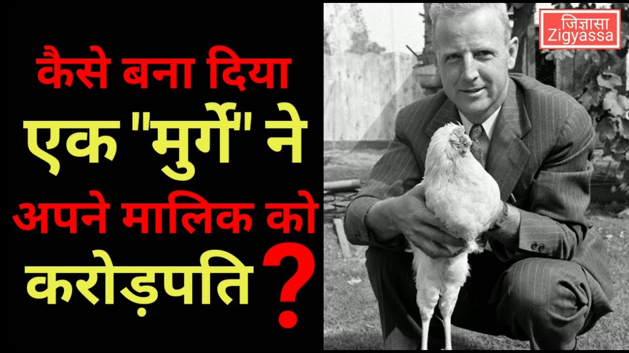 वो मुर्गा जो मरने से पहले मालिक को बना गया करोड़पति | This cock made his owner a millionare