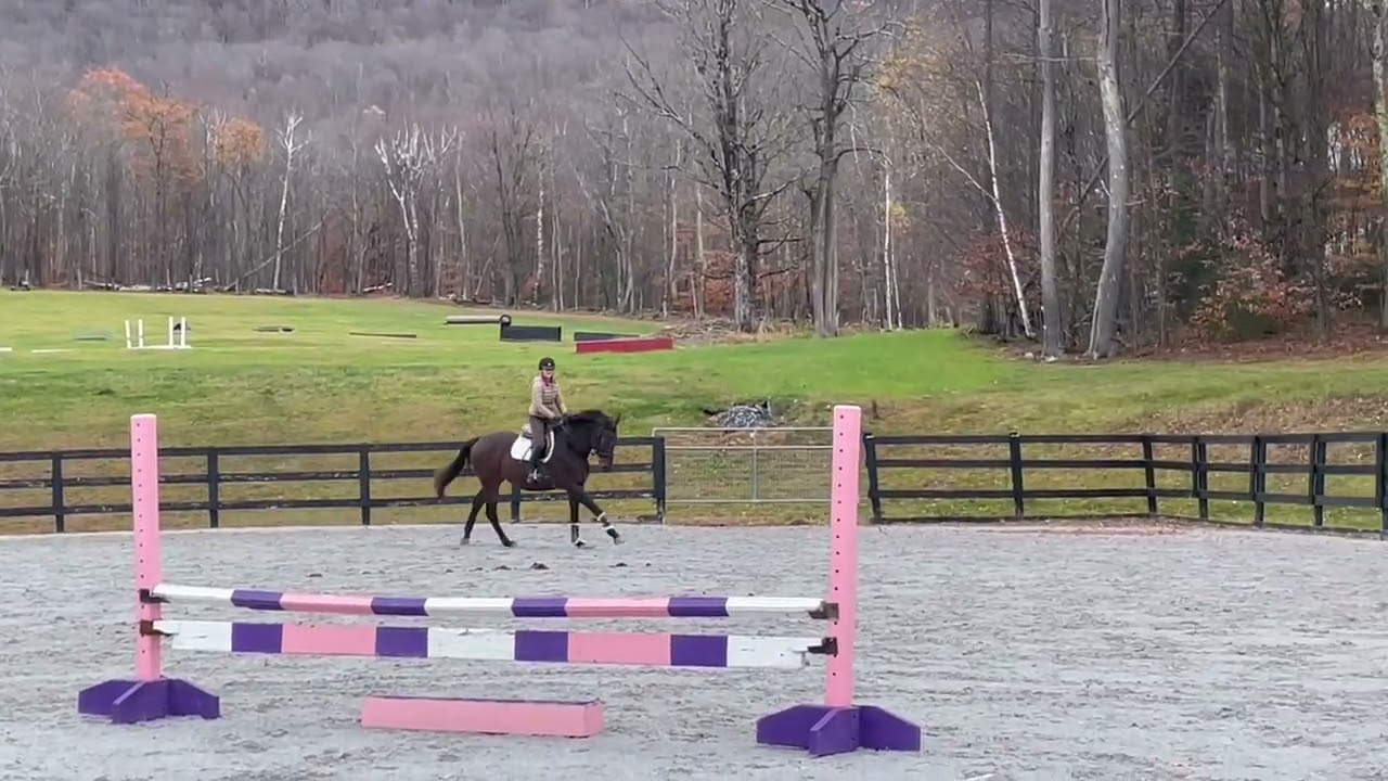 Kirby cavaletti and jumps 11/5/25