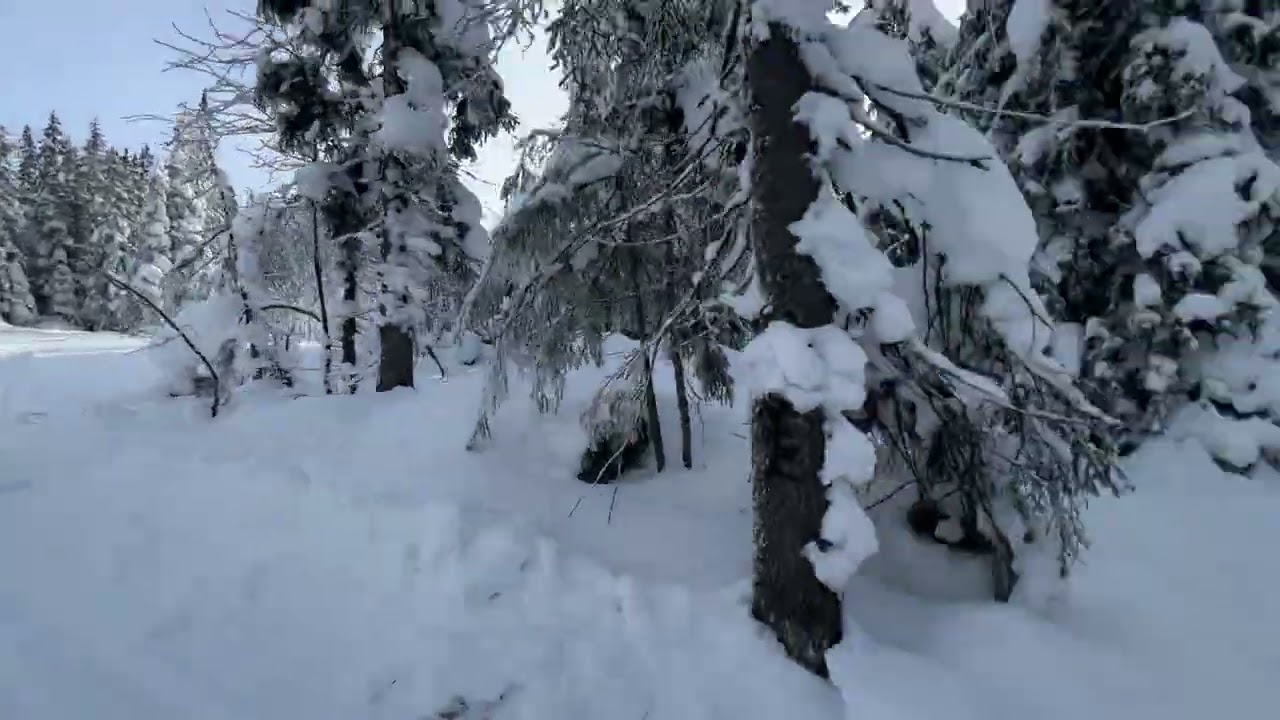 Spektakulær opplevelse av en magisk vinter