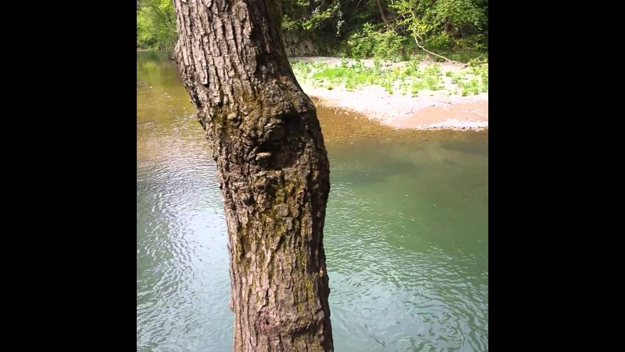 Reka Gradac
