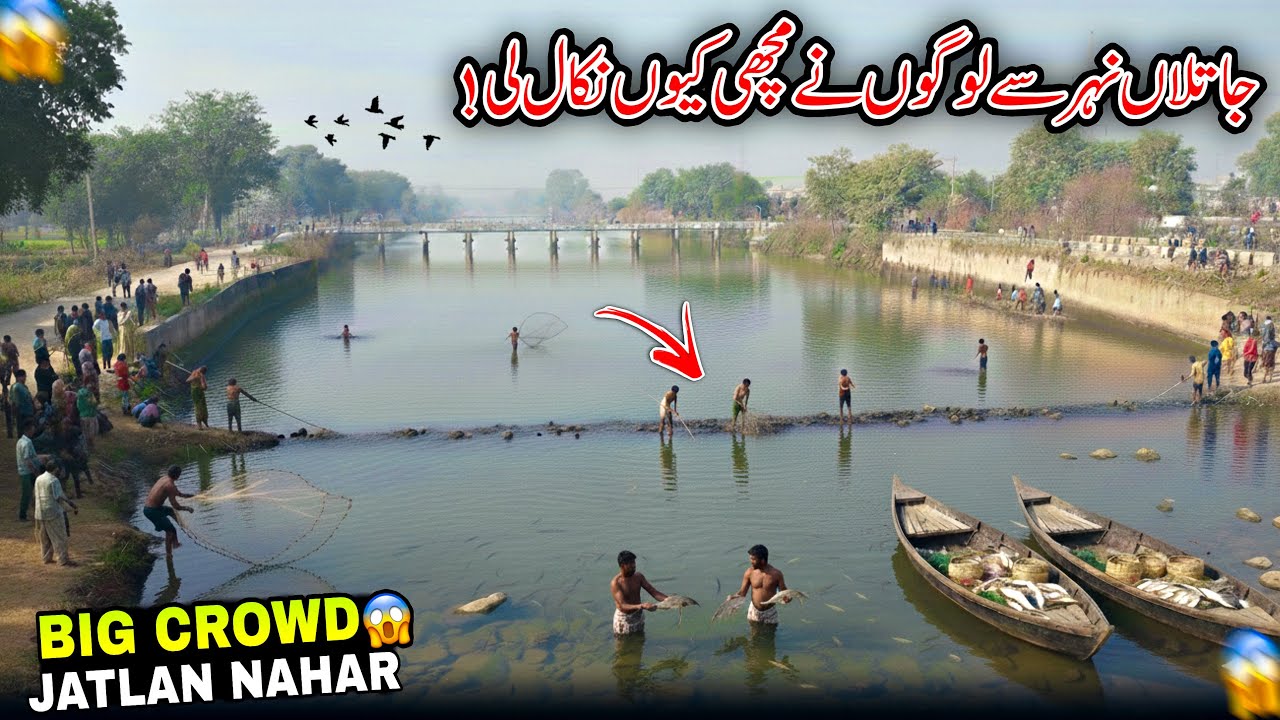 Jatlan Nahar/Why did People Take Out Fish From The Jatlan Canal?/Jatlan Mirpur Azad Kashmir/😱