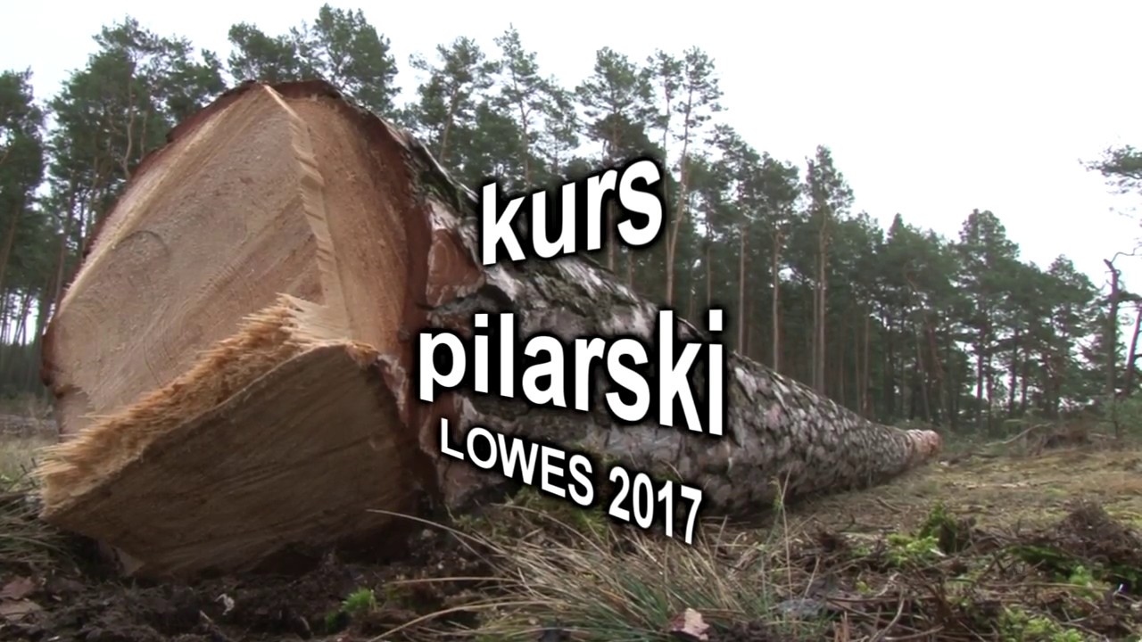 kurs pilarki