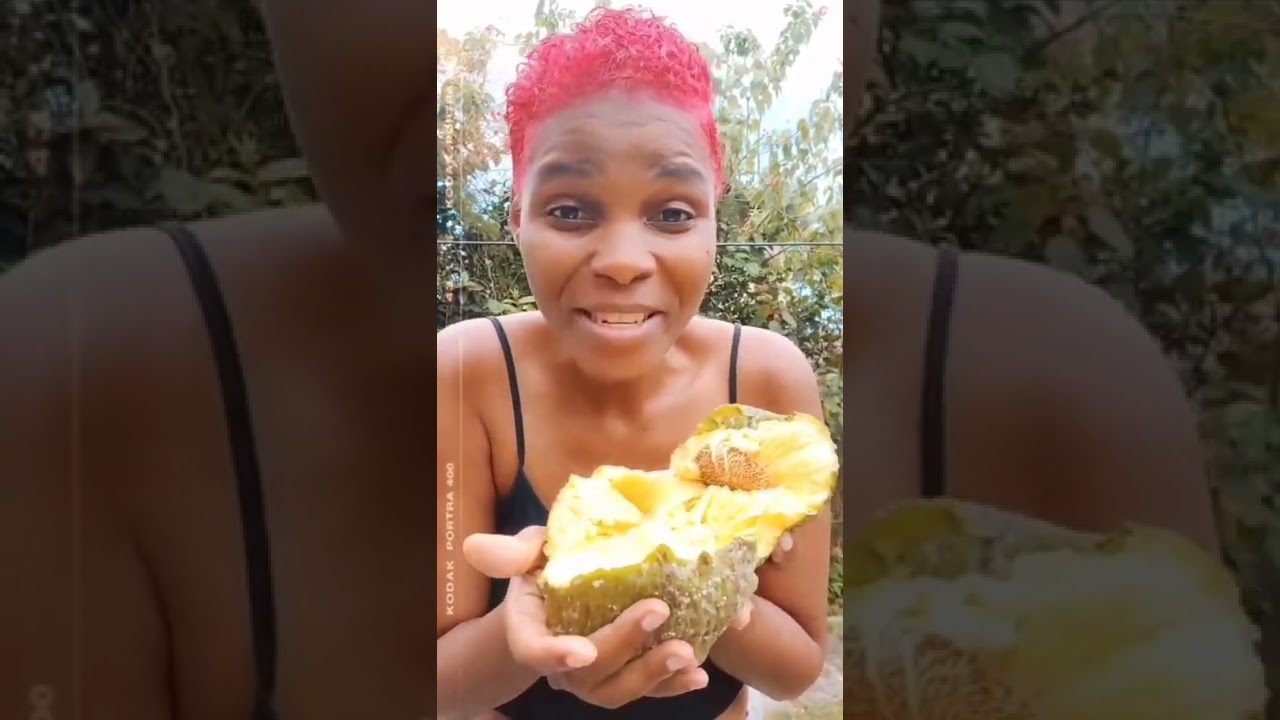 Ripe Breadfruit Can Be Eaten Raw !?!? | How To Eat Ripe Breadfruit Raw