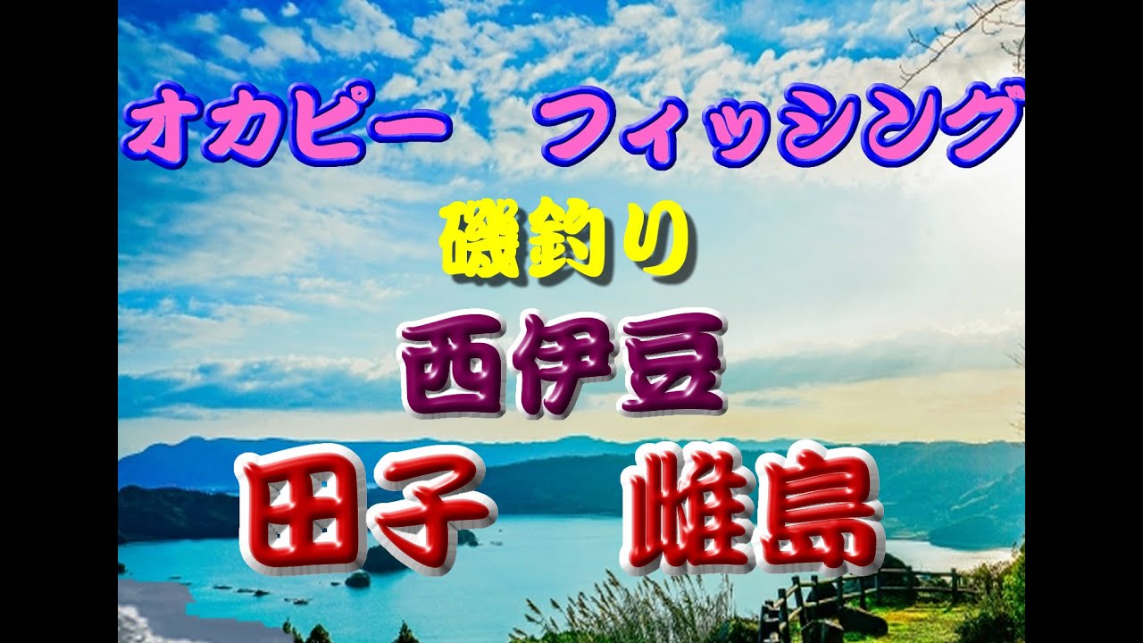 田子雌島にメジナ釣りに行ってきました。全体的には、あまり連れてなかったみたいけど、チームの田中氏が４４センチを仕留めました。