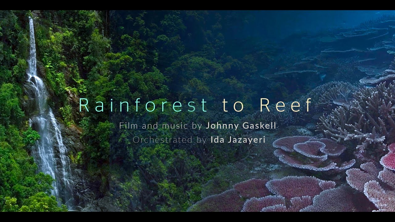 Rainforest to Reef (Orchestra)