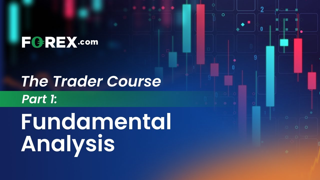 The Trader Course Part 1: Fundamental Analysis