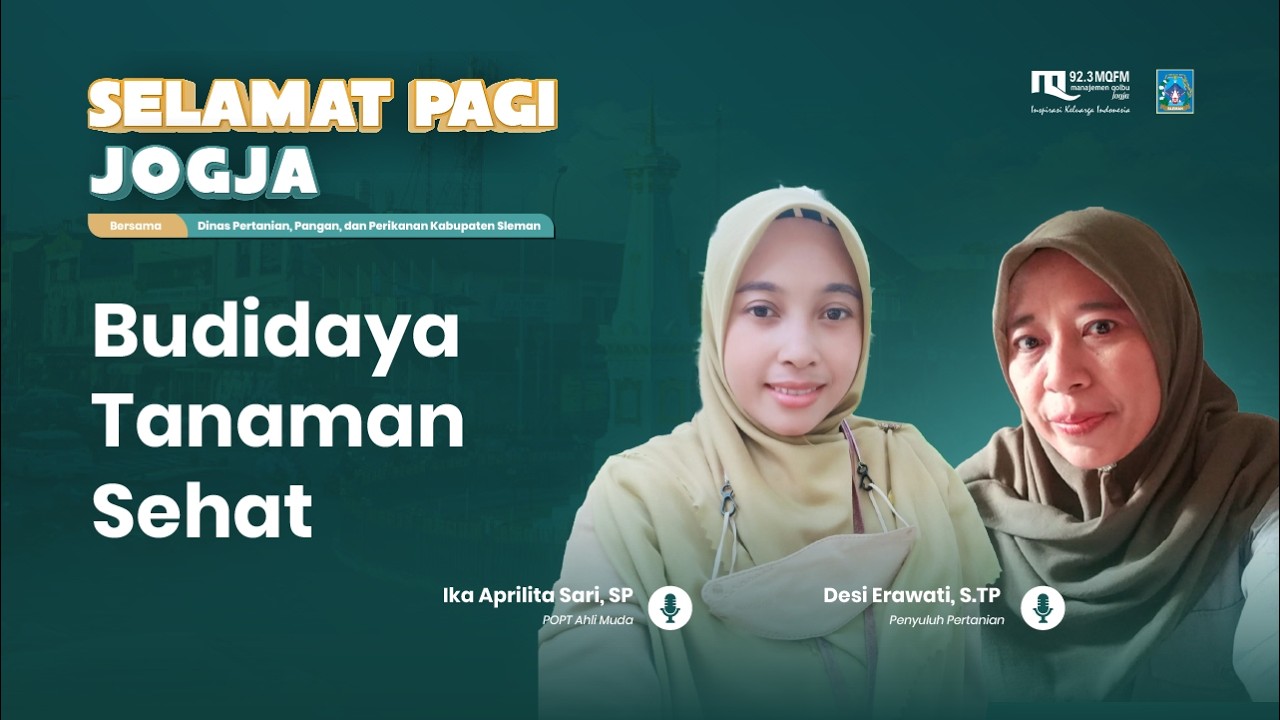 BUDIDAYA TANAMAN SEHAT - SELAMAT PAGI JOGJA | 06/03/2026