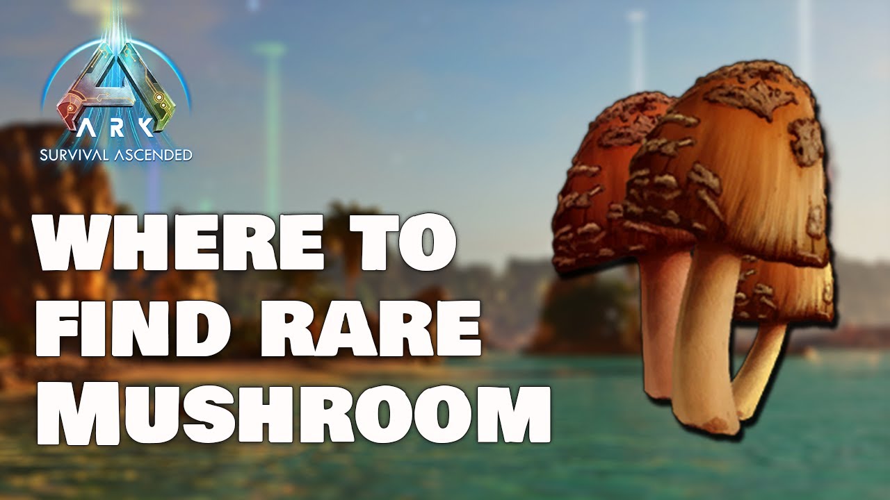 How to get RARE MUSHROOM - Island - Ark Survival Ascended