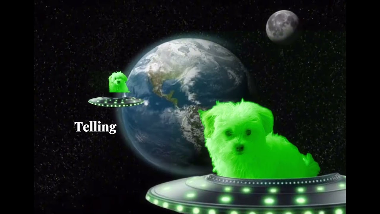 alien dawg