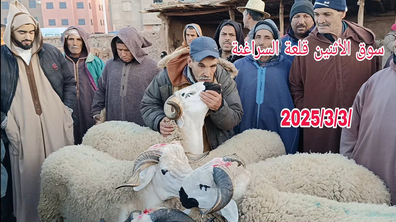 مباشره من سوق الأثنين قلعة السراغنة بتاريخ 2025/3/3 والله يرحمنا برحمته الواسعه