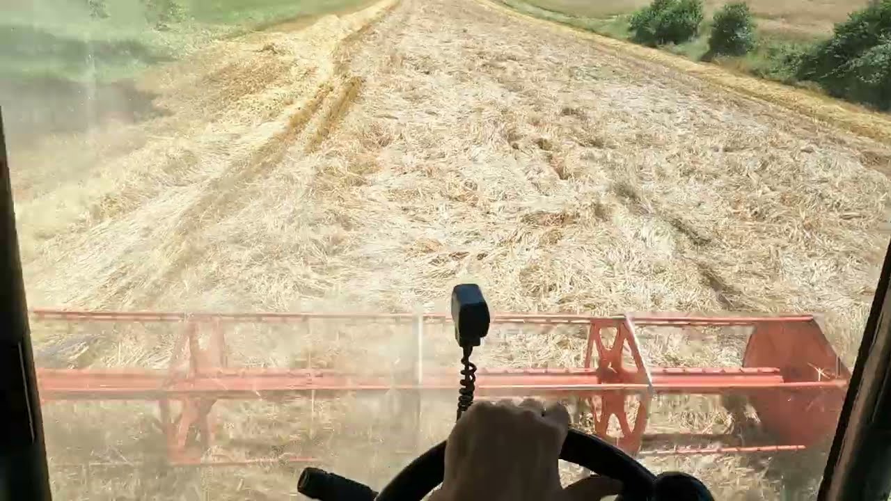 DrescherVlog 2022 #6 Sommergerste und Drescher abschmieren
