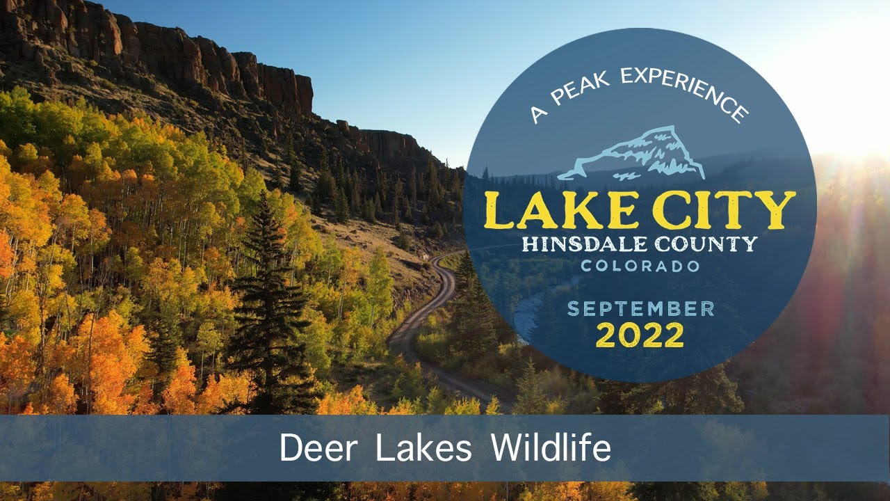 Lake City, CO | 2022 | Part Three: Deer Lakes Wildlife