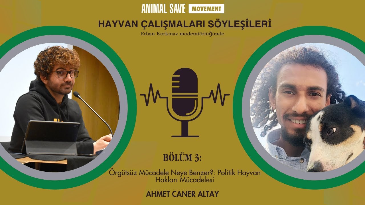 &Ouml;rg&uuml;ts&uuml;z M&uuml;cadele Neye Benzer?: Politik Hayvan Hakları M&uuml;cadelesi | Ahmet Caner Altay