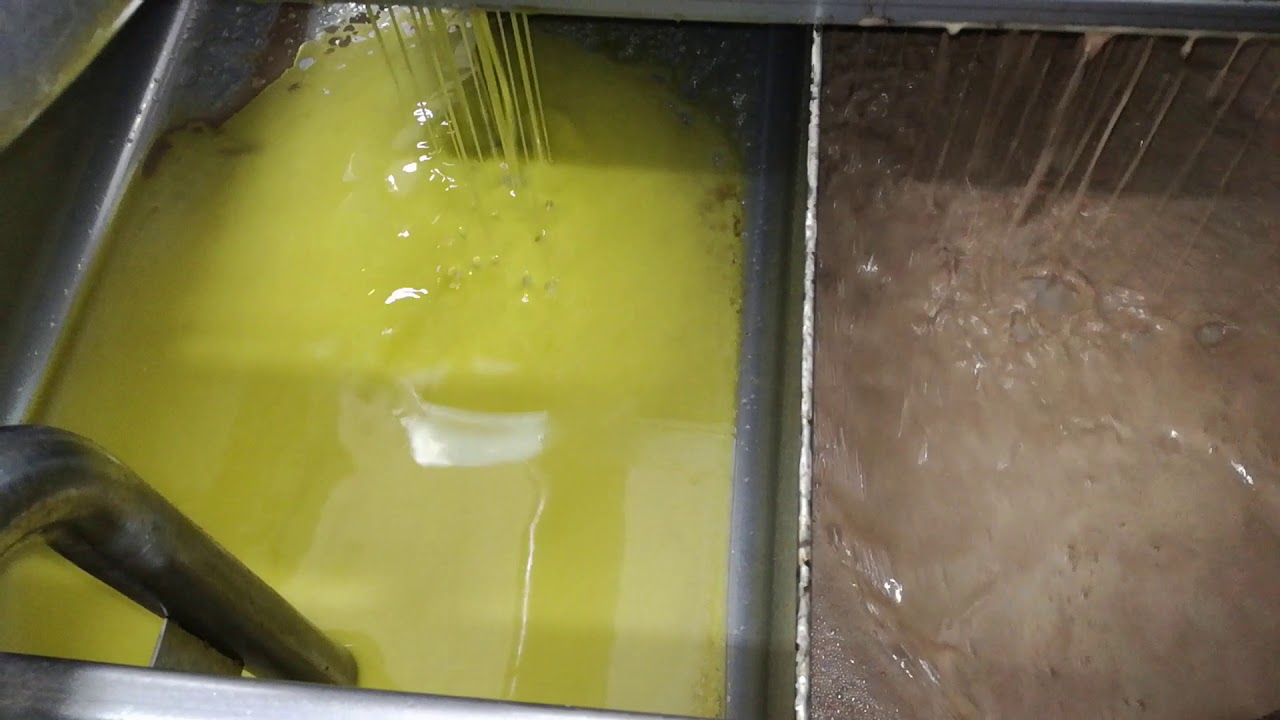 Frantoio Petrecca Genzano di Roma Alfa Laval X6