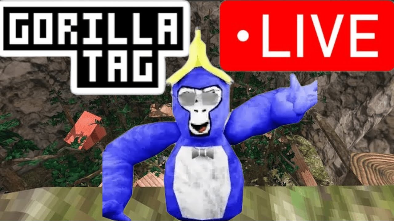 GTAG PLAYING WITH VIEWERS LIVE