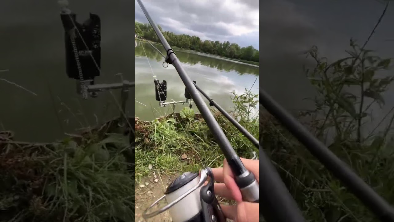 БЕЗУМНЫЙ ЗАБЕГ КАРПОВ😍🔥 #carprun