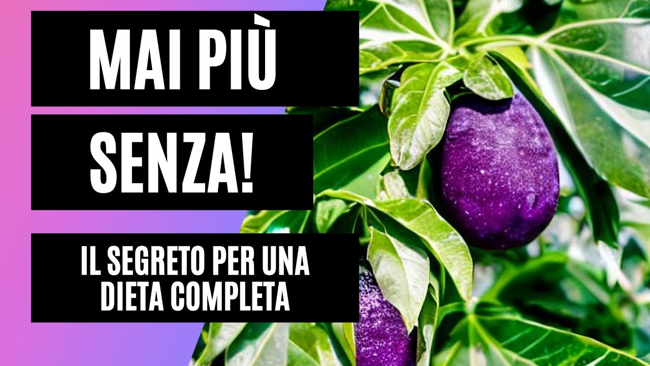 L'unico ingrediente che non deve mancare alla tua dieta