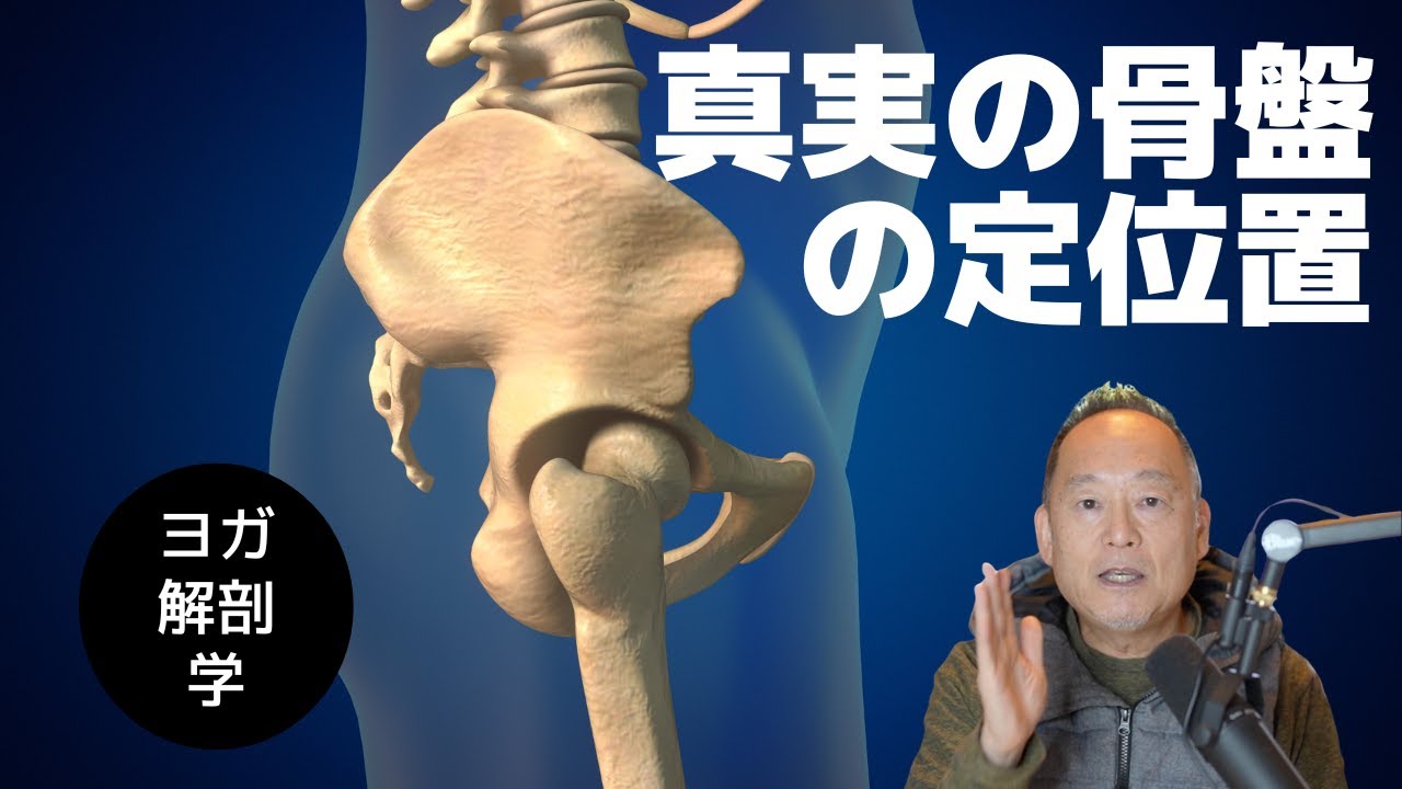 【骨盤 位置】あまりに多くの人が誤解している。知らないと恥ずかしい、真実の骨盤の定位置はこれです！