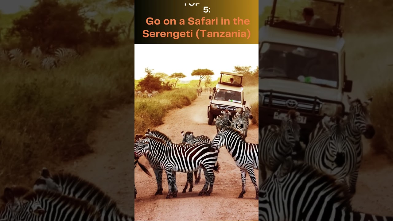 TOP 10 CULTURAL EXPERIENCES YOU CAN'T MISS