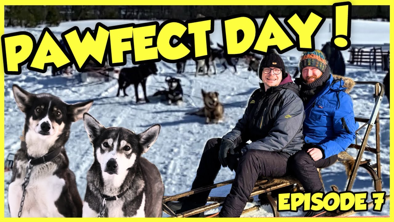 A BUCKET LIST excursion in Tromsø! 🐾 Fred. Olsen Borealis | Episode 7