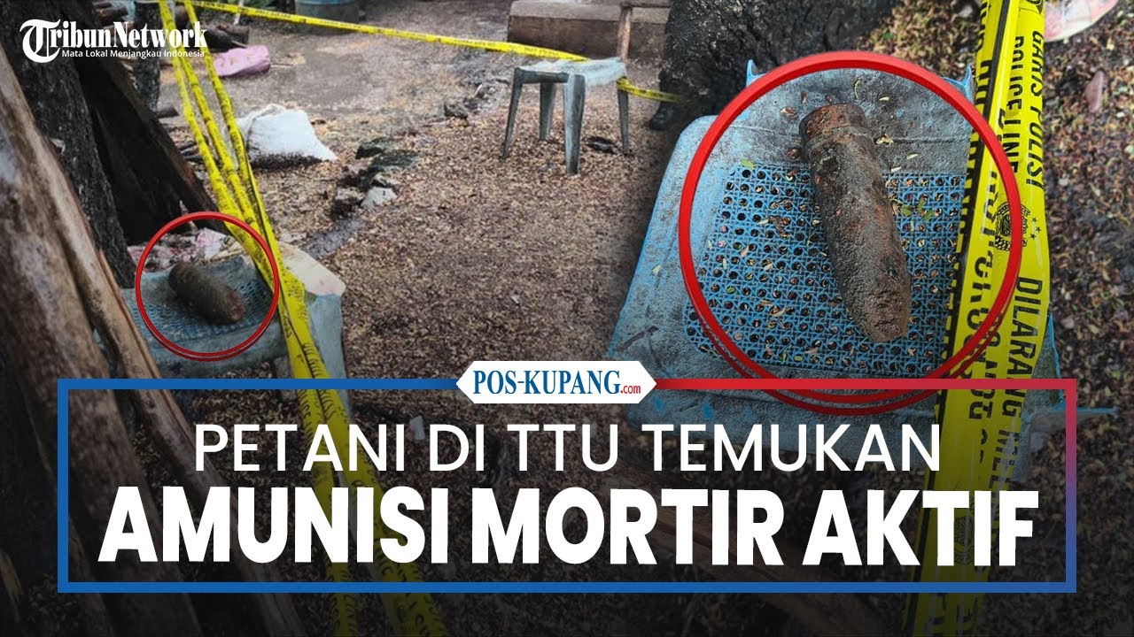 Petani Kefamenanu TTU Temukan Amunisi Mortir Aktif di Kebun