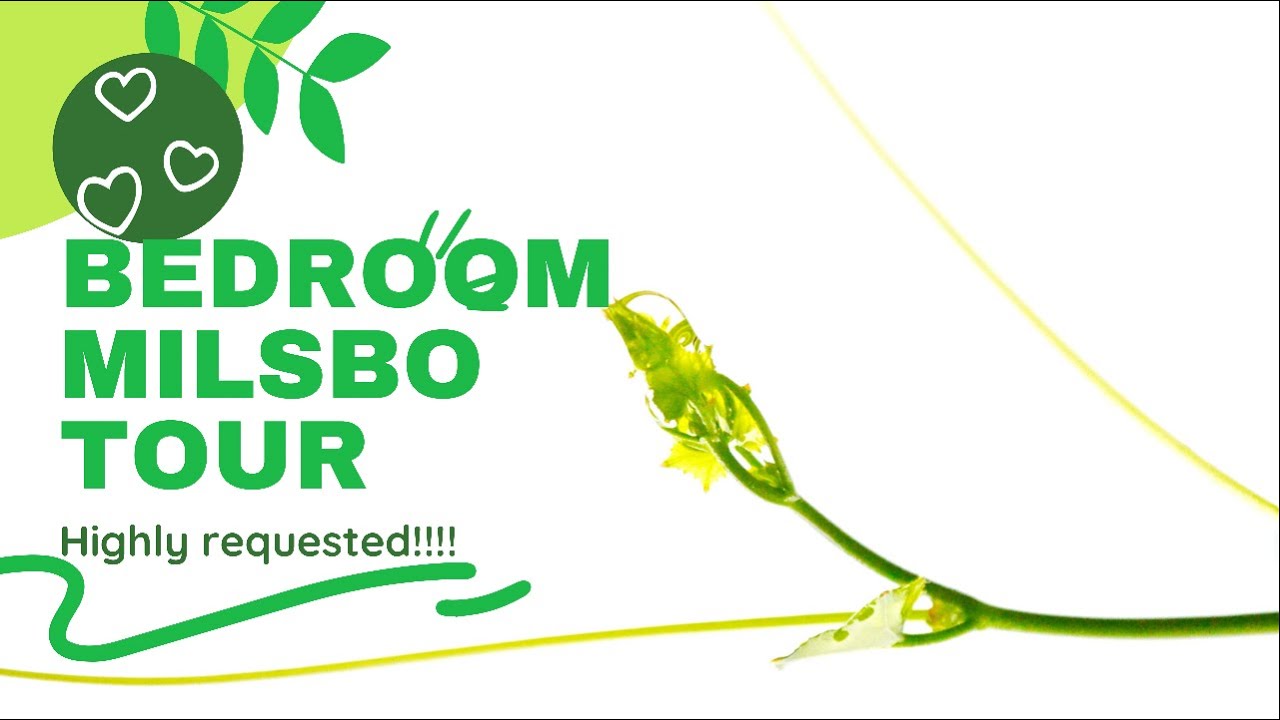 Bedroom Milsbo Tour! Rare Hoyas!!