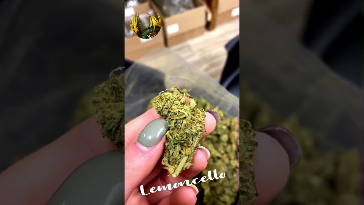 Limoncello Greenhouse