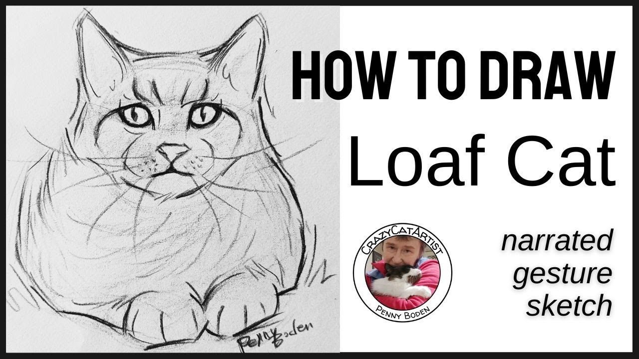 How to Draw a Cat laying down in bread loaf position, face forward fluffy windblown hair, smug look