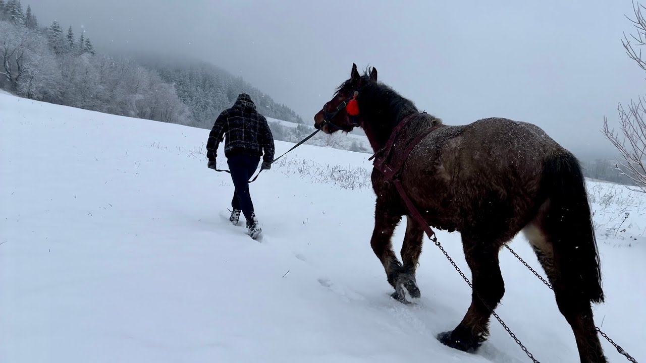 ❄️ХРИСТОС НАРОДИВСЯ❄️ Техас перший 🪓раз в роботі⛓️